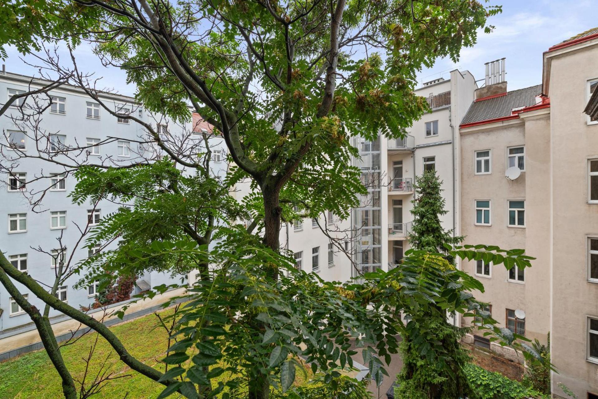 Cozy, Generous City Apartment - 10 Min To City-Centre - Contactless 24H Check-In Wina Bagian luar foto