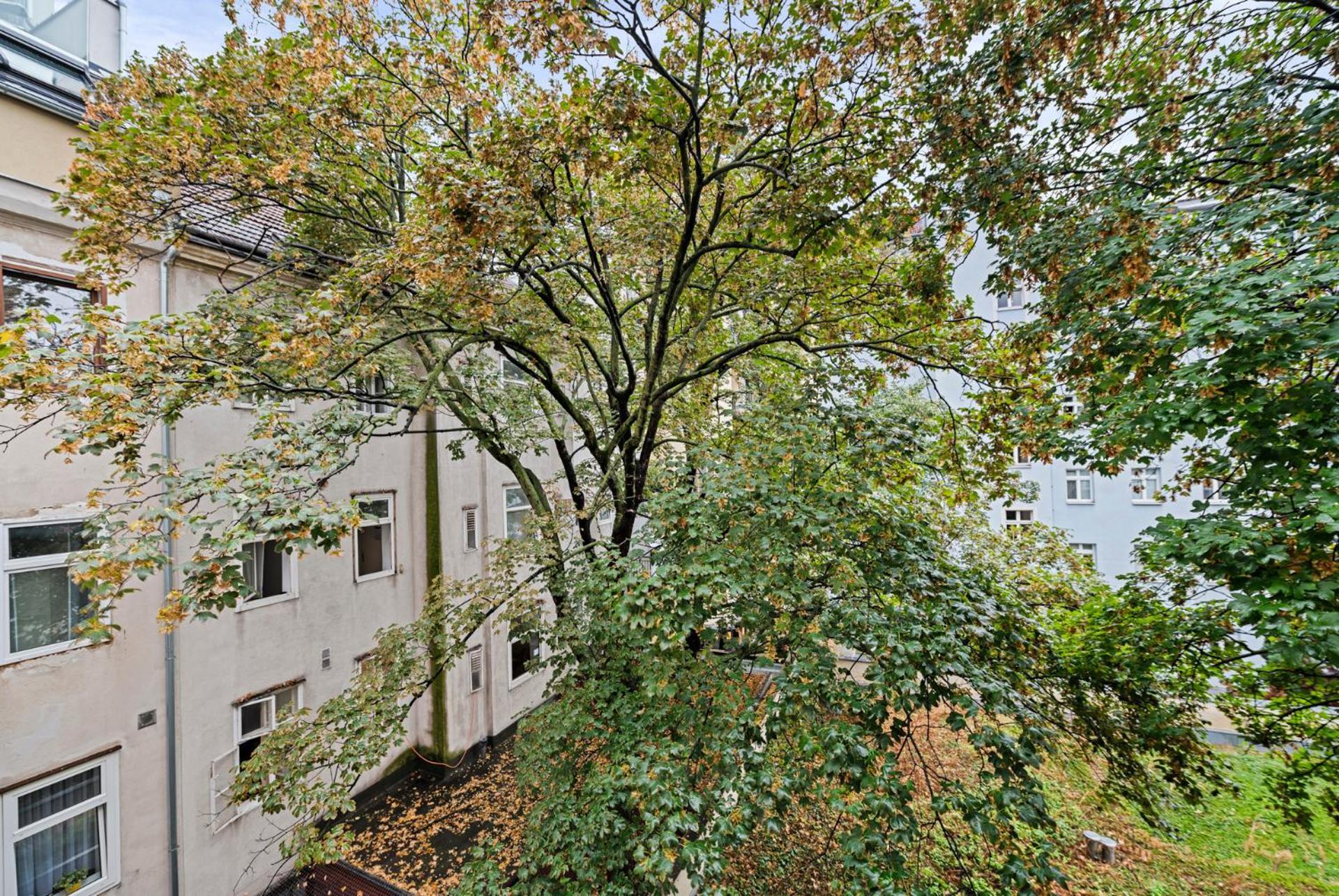 Cozy, Generous City Apartment - 10 Min To City-Centre - Contactless 24H Check-In Wina Bagian luar foto