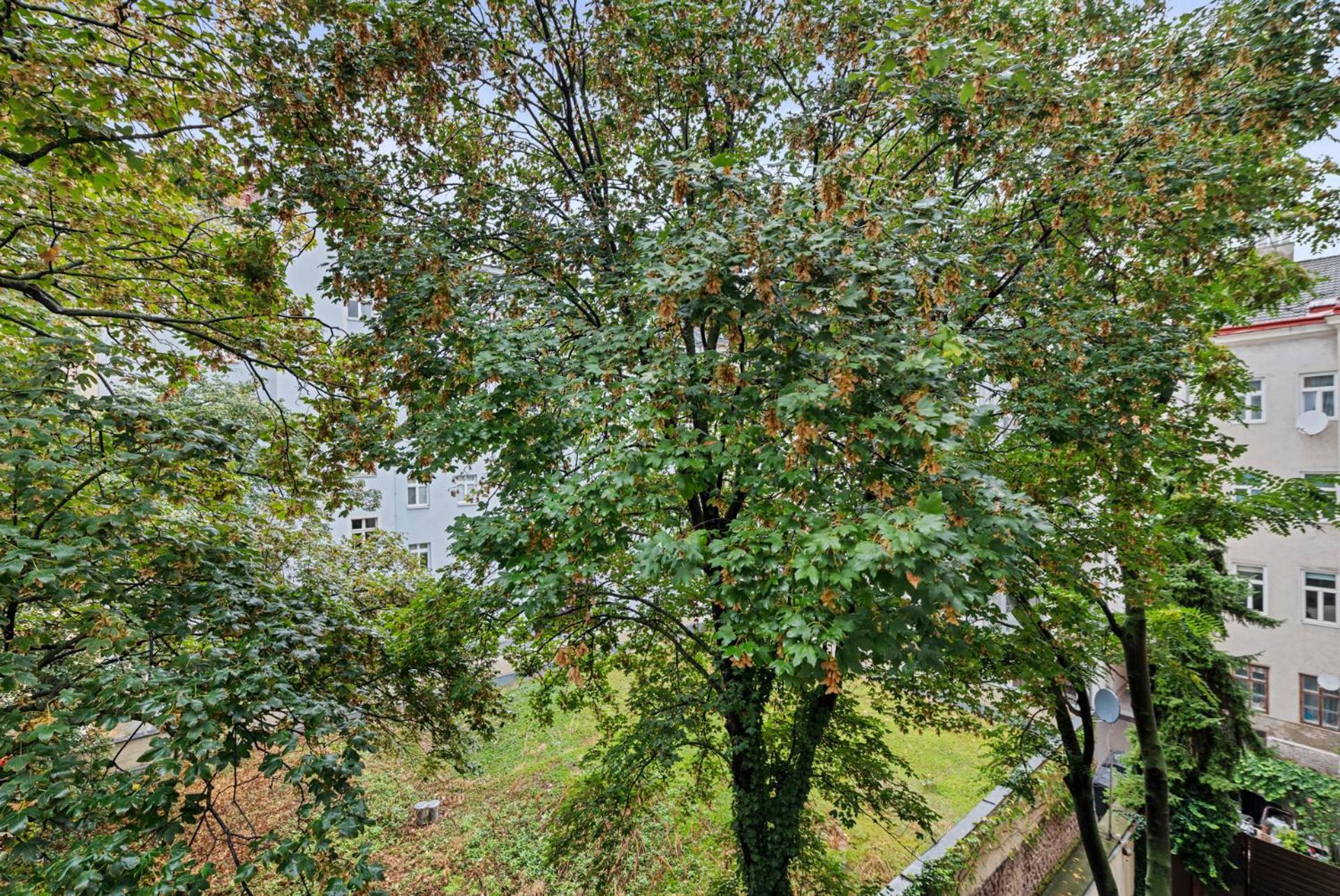 Cozy, Generous City Apartment - 10 Min To City-Centre - Contactless 24H Check-In Wina Bagian luar foto
